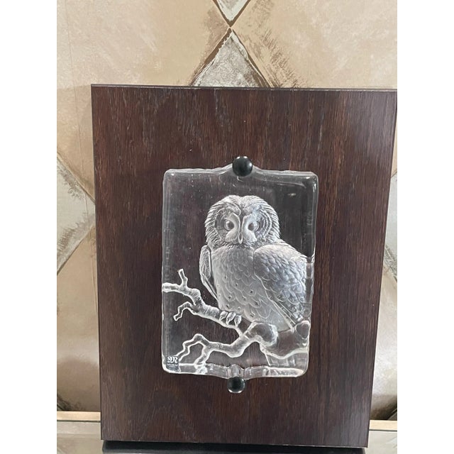 Mats Jonasson Swedish Carved Crystal Tawny Owl Wall Plaque Sculpture For Sale In Boston - Image 6 of 6