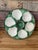 Antique 1920s French Longchamp Majolica Green and White Oyster Plate For Sale - Image 11 of 13