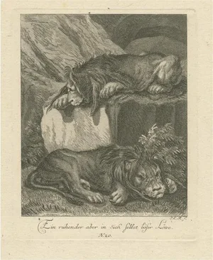 Ridinger, Two Lions Resting, 1738, Print