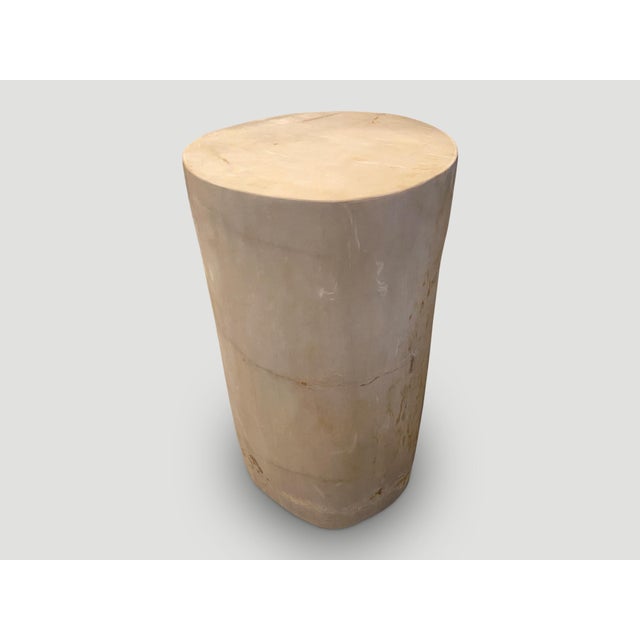 Andrianna Shamaris Super Smooth High Quality Petrified Wood Side Table For Sale In New York - Image 6 of 6