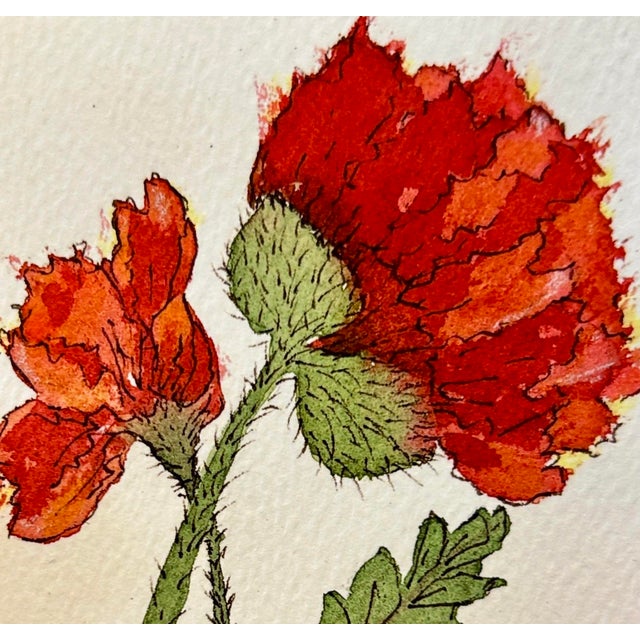 Paper Watercolor Poppy Buds Painting Giclee Print For Sale - Image 7 of 8