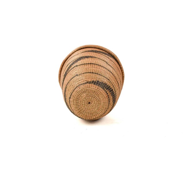 Textile Early 20th Century Tutsi Basket with Lid Rwanda For Sale - Image 7 of 7