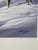 1992 Vtg Jocelyn Lillpop Russell SAND DUNES DELEGATION Signed Numbered Wildlife Print This product is a limited edition...
