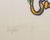 Red Salvador Dali "Carnation (Keys)" Etching, 1972 For Sale - Image 8 of 11
