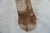 Spotted Deer Head & Bust Mount For Sale - Image 11 of 15
