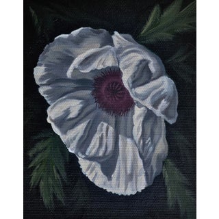 White Poppy by Robin Hextrum | Oil on canvas White flower with dark center on black background For Sale
