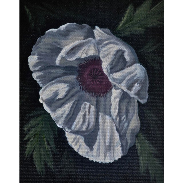 White Poppy by Robin Hextrum | Oil on canvas White flower with dark center on black background For Sale