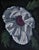 White Poppy by Robin Hextrum | Oil on canvas White flower with dark center on black background For Sale