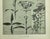 1902 -Set of 3 Antique French Botanicals- Ivy, Fushia, Sweet William, Documentation For Sale In New York - Image 6 of 14
