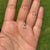 Charm Heart Shaped Diamond Solitaire Pendant in 14k Yellow Gold For Sale - Image 4 of 15
