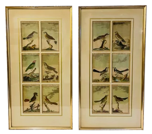 Bird Illustrations, 1940s, Hand-Colored Lithographs, Framed, Set of 2