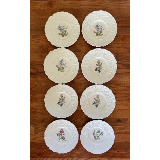 1940s 1940s Royal Cauldron Bristol Ironstone “Cardinal Flower” 9.5” Appetizer Plates ~ Set of 8 ~ England For Sale - Image 5 of 13