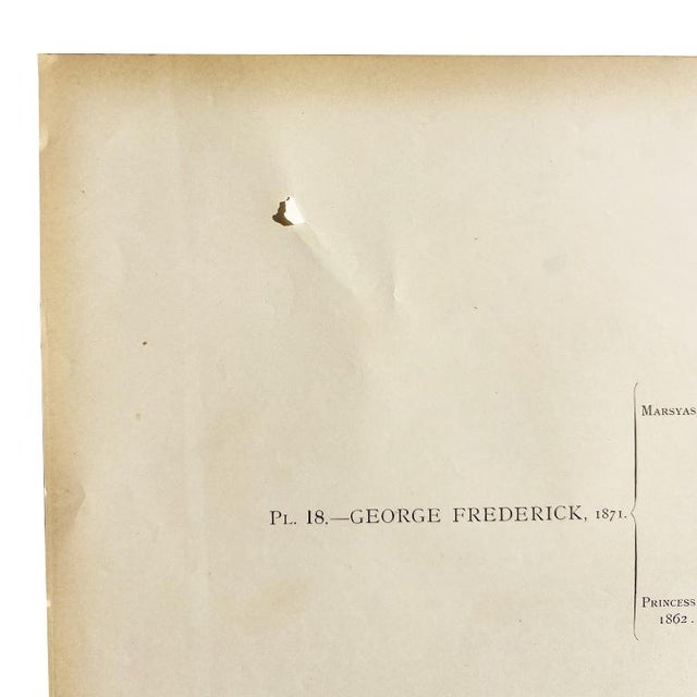 Antique Lithograph “George Frederick” With Lineage Chart, 19th Century For Sale - Image 9 of 9