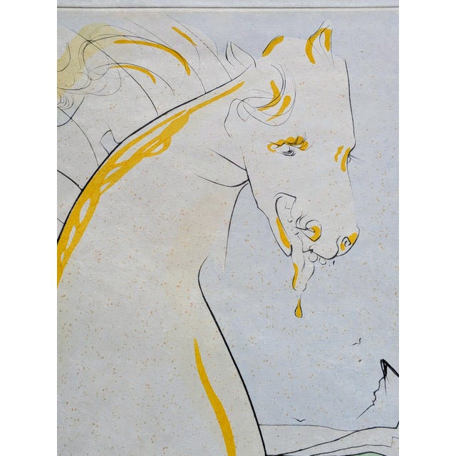 Salvador Dali, Horse Who Wanted to Take Revenge on the Deer, 1974, Drypoint Etching and Stencil, Framed For Sale - Image 11 of 14