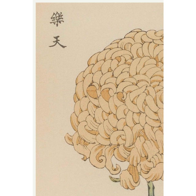 A refined example of late 19th-century Japanese botanical illustration, this vintage art print reproduction features Keika...