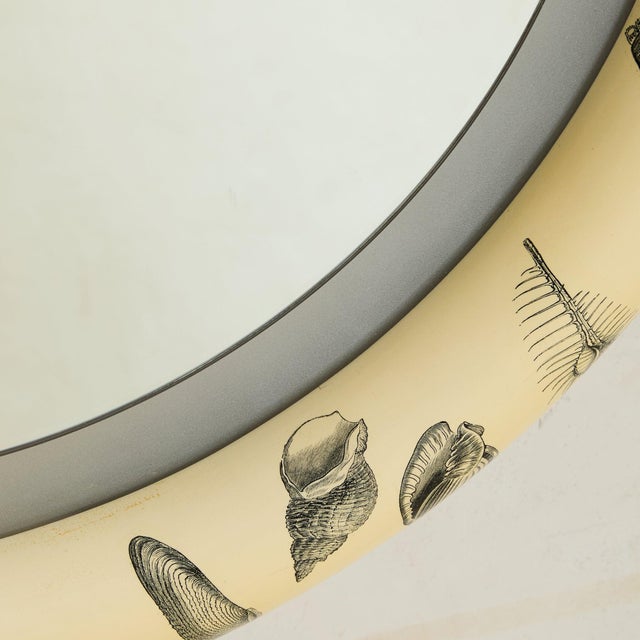 Italian Shell Motif Backlit Wall Mirror, 1960s For Sale In Chicago - Image 6 of 11