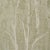 Contemporary SAMPLE - Schumacher Komorebi Wallpaper In Illuminated Forest For Sale - Image 3 of 5