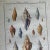 Paper Set of 19th Century French Colored Shell Engravings For Sale - Image 7 of 12