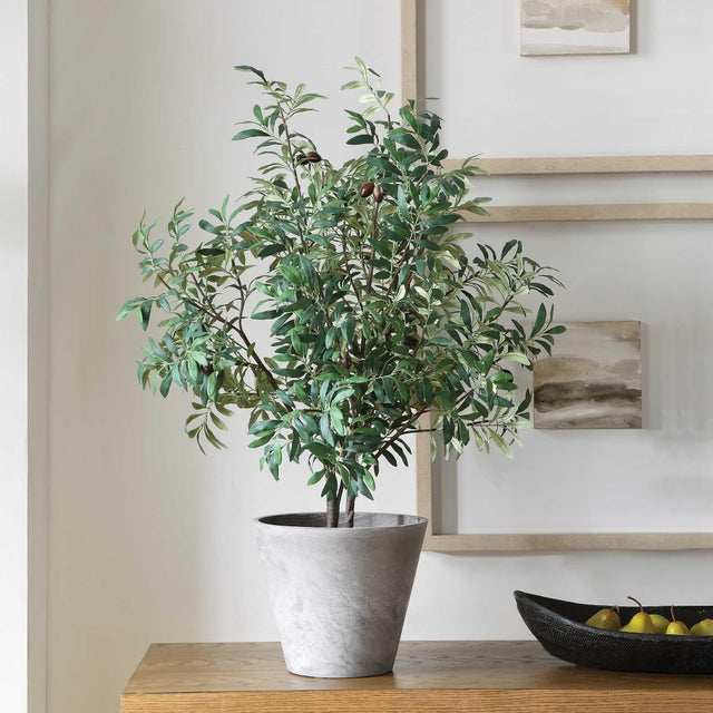 Bring Timeless Mediterranean Elegance To Your Space With This Lifelike Olive Tree. Rich Green Leaves Accented By Natural-...