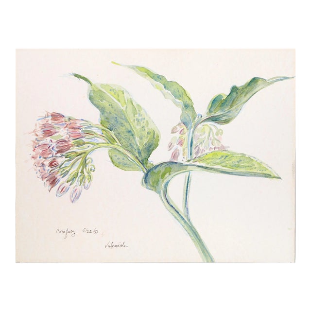 Comfrey, Charles Blaze Vukovich For Sale