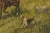 An English oil on board painting from the late 19th century depicting a hunting scene and set in antique frame. Created in...
