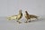 Vintage Italian Decorative Sculptural Goldtone Male Female Pheasants Mid Century-a Pair For Sale - Image 16 of 16