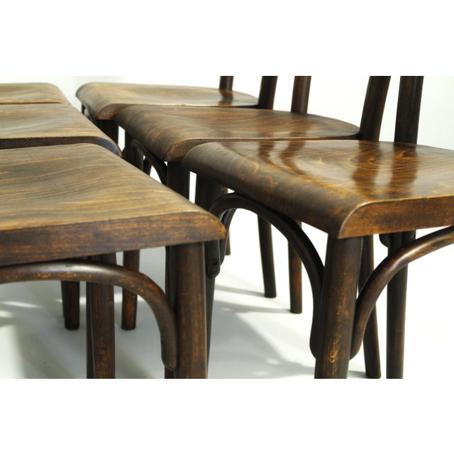 H-48 Pub Chairs by Michael Thonet for Thonet, 1920s, Set of 6 For Sale - Image 9 of 17