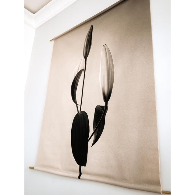 Lilly' 2022 the photograph comes in four editions: 10×13 cm mounted in archival mountboard, limited edition of 15 + 1ap...