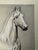 Original graphite pencil drawing by American artist and illustrator Theodore E. Schrock (1879–1952), depicting a finely...