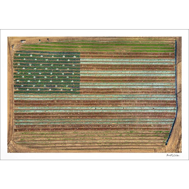 Edition Aerial Views Bernhard Lang Image: "AV_California_Plants_022" Size B: 47,2 x 31,5 inches / 120 x 80 cm No 1 of 8+2,...