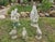 Mid 20th Century Concrete Rooster, Hen and Chicks Garden Ornaments - 5 Pieces For Sale In Charlotte - Image 6 of 12