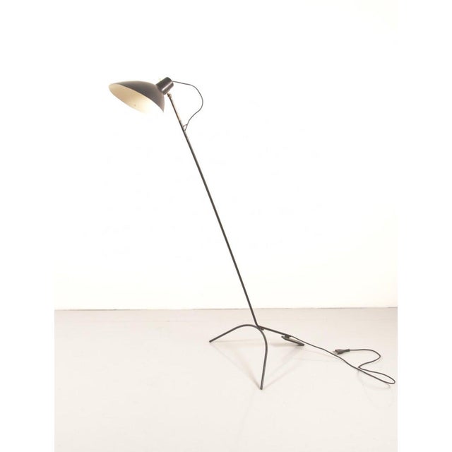 Floor Lamp by Vittorio Viganò for Arteluce, 1950 For Sale - Image 10 of 10