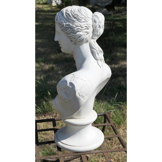 White Vintage Plaster Bust of the Venus De Milo, 1920 For Sale - Image 8 of 9