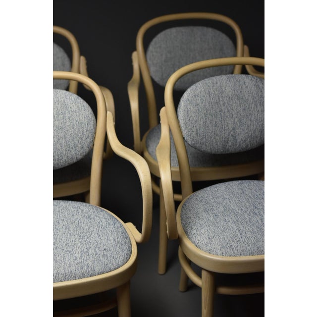 Midcentury Modern Dining Bentwood Chairs from Gemla Möbler, 1970s, Set of 4 For Sale - Image 11 of 17