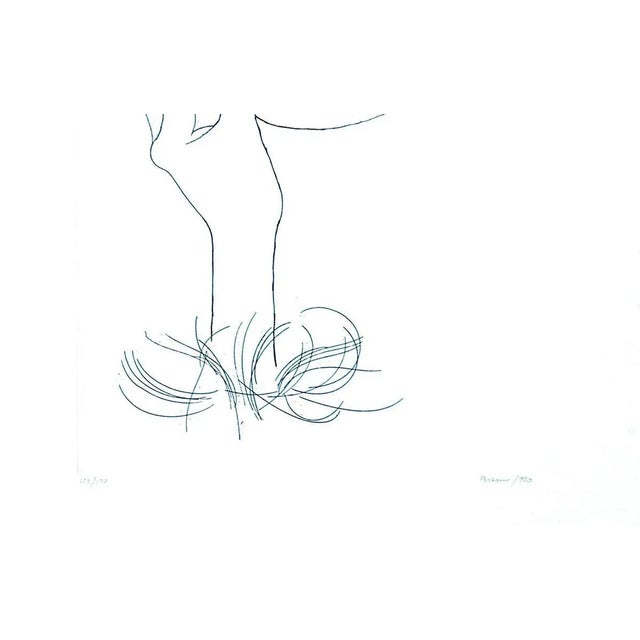 Marijuana - Original Etching by Giacomo Porzano - 1970 ca. 1970 For Sale - Image 3 of 5