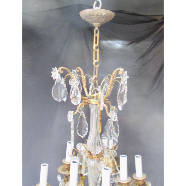 French French Gilt Bronze 8 Light Crystal Chandelier Circa 1900 For Sale - Image 3 of 18