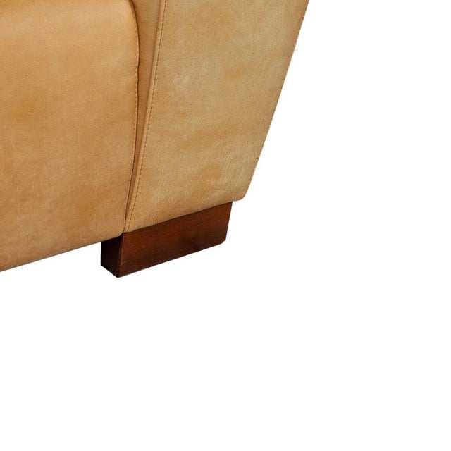 Cognac Leather Lounge Chair from Machalke For Sale - Image 5 of 17