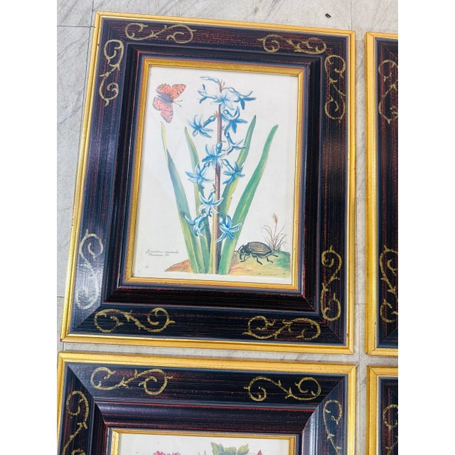 Vintage Chelsea House Prints, Set of 4 For Sale In Charleston - Image 6 of 10