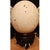 Full Carved Egg For Sale - Image 4 of 4