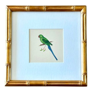 Hand-Painted Parrot Painting in Faux Bamboo Frame For Sale
