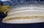 Ceramic Vintage Amm Faenza Garofano Large Pasta Bowl - Hand-Painted Italian Majolica - Italy For Sale - Image 7 of 9