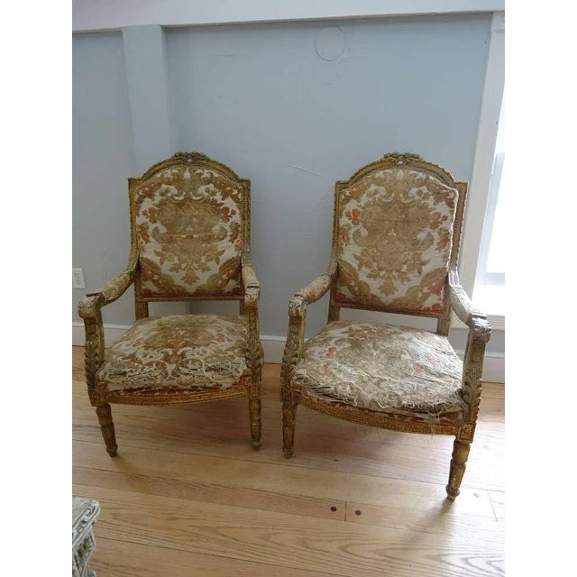 Pair of Louis XVI fauteuils. These beauties are gilt wood and very elegant yet comfortable. In it's original woven velvet...