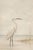 White Egret Coastal Study, Minimalist Bird Wall Art Print, 20" X 30" For Sale