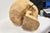 Wood Large Folk Art Skull Wood Carving For Sale - Image 7 of 8