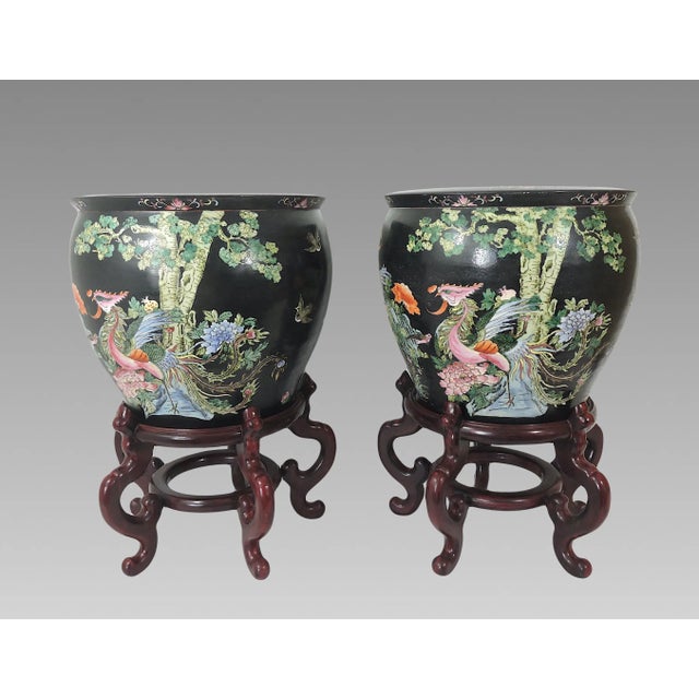 Early 20th Century Nyonya Straits Chinese Porcelain Planters, Jardinieres, Famille Noire Black With Goldfish & Phoenix Birds, a Pair, Rosewood Stands, Early 20th Century For Sale - Image 5 of 12