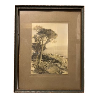 Antique Framed Coastal Landscape Print For Sale