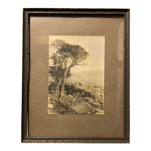 Antique Framed Coastal Landscape Print For Sale