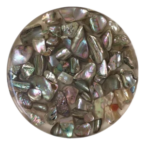 Mid 20th Century Lucite Acrylic Abalone Seashell Trivet