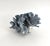 Late 20th Century Natural Blue Coral Specimen For Sale - Image 5 of 6