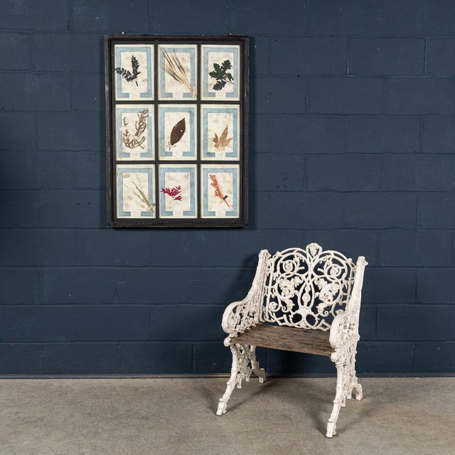 20th Century Italian Large Oak Frame with Pressed Flowers and Herbs For Sale - Image 3 of 18